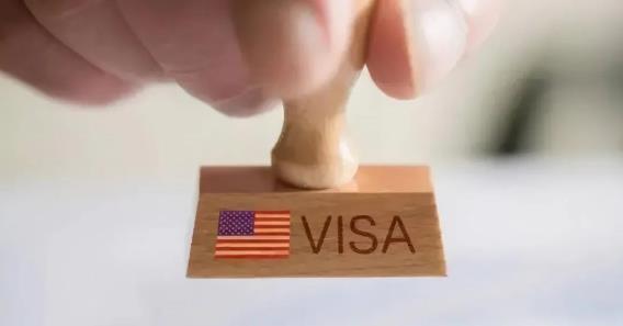 �����溞���}